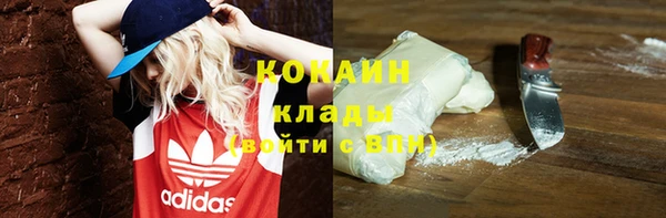 ПСИЛОЦИБИНОВЫЕ ГРИБЫ Михайловка