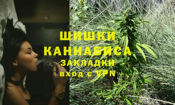 ПСИЛОЦИБИНОВЫЕ ГРИБЫ Михайловка