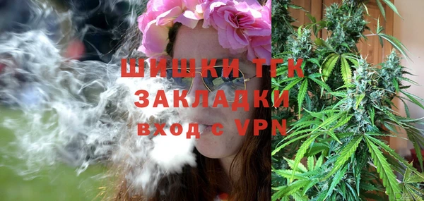 тгк Михайлов