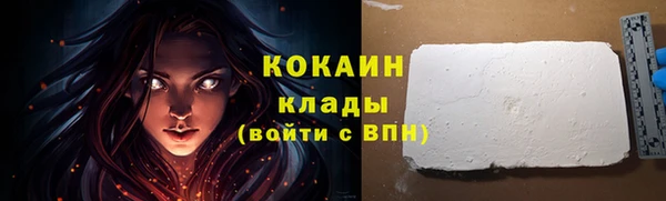 тгк Михайлов