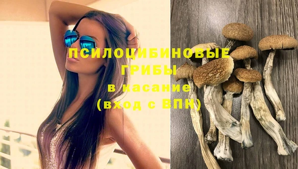 ПСИЛОЦИБИНОВЫЕ ГРИБЫ Михайловка